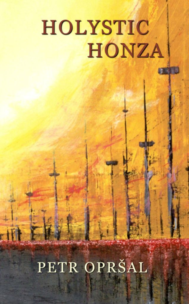 Holystic Honza book cover